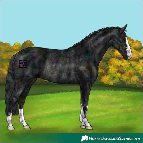 Horse Color:Midnight Black Ice Rabicano