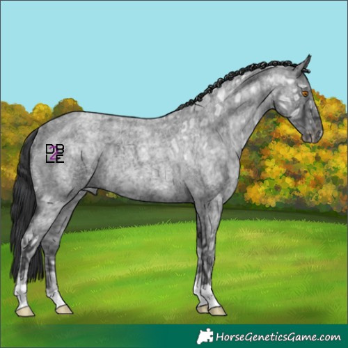 Horse Color:Blue Ice Roan Rabicano