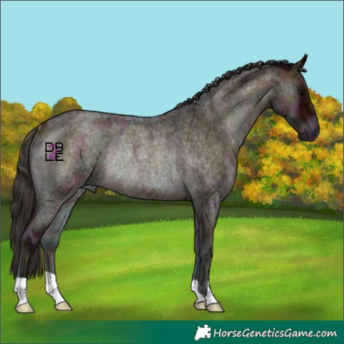 Horse Color:Midnight Bay Roan Onyx Rabicano