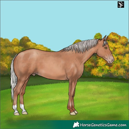 Horse Color:Silver Sable Champagne