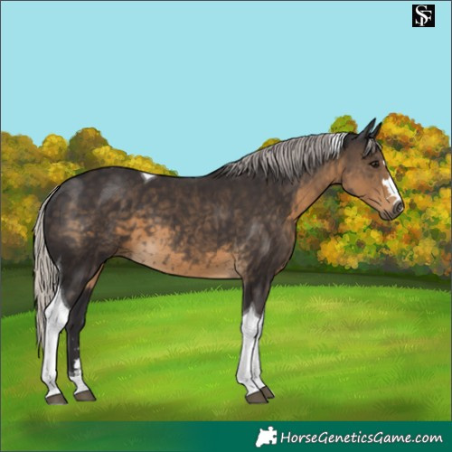 Horse Color:Silver Smoky Black Tobiano