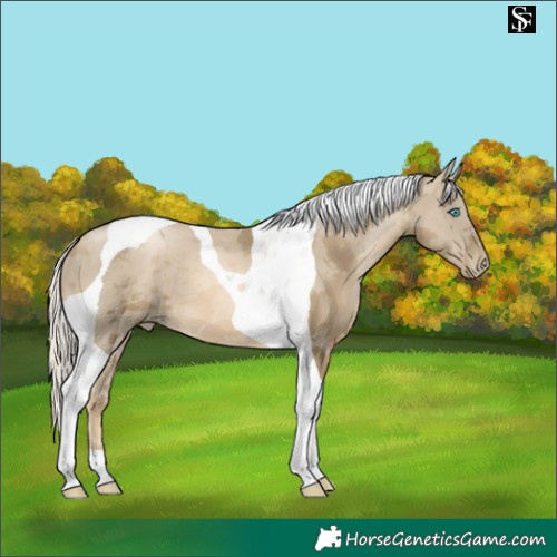 Horse Color:Silver Smoky Black Pearl Merle Tobiano