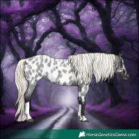 Horse Color:Liver Red Roan Mushroom Tobiano Appaloosa Rabicano 