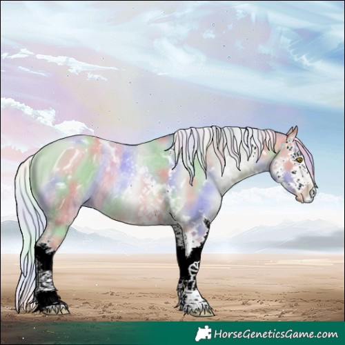 Horse Color:ERROR: UNKNOWN ANOMALY