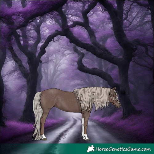 Horse Color:Chocolate Silver Black Mushroom Tobiano Rabicano 