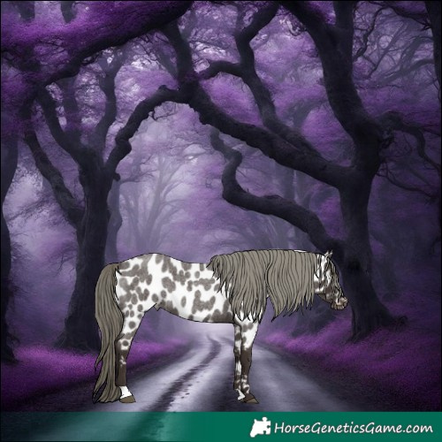 Horse Color:Liver Red Roan Mushroom Appaloosa Rabicano 
