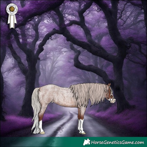 Horse Color:Chocolate Silver Brown Roan Mushroom Splash Rabicano 