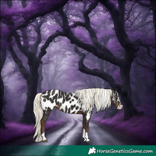 Horse Color:Liver Chestnut Mushroom Splash Tobiano Appaloosa Rabicano