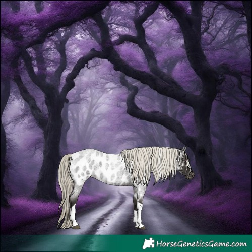Horse Color:Liver Red Roan Mushroom Tobiano Appaloosa Rabicano