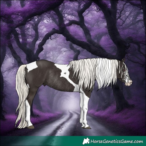 Horse Color:Liver Chestnut Pearl Mushroom Sabino Tobiano Rabicano 