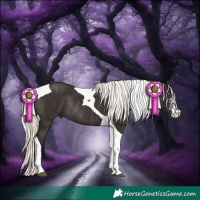 Horse Color:Liver Chestnut Pearl Mushroom Sabino Tobiano Rabicano