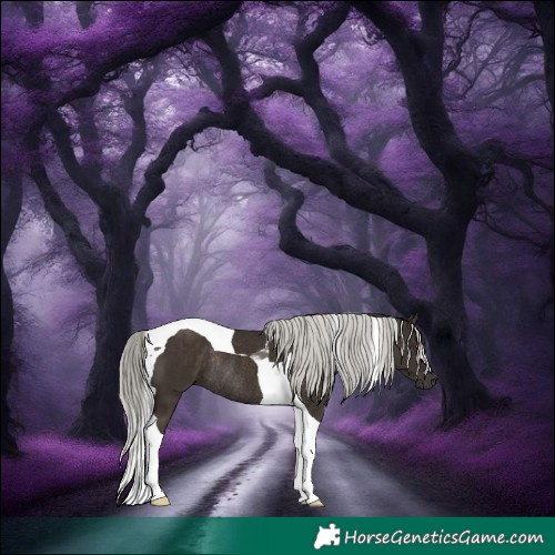 Horse Color:Liver Chestnut Mushroom Tobiano Rabicano 
