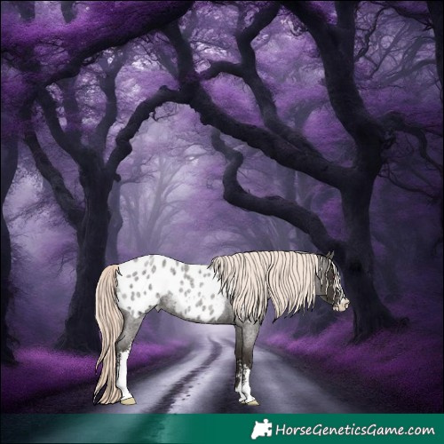 Horse Color:Liver Red Roan Mushroom Sabino Appaloosa Rabicano
