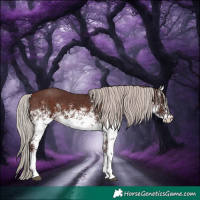 Horse Color:White Spotted Chocolate Silver Bay