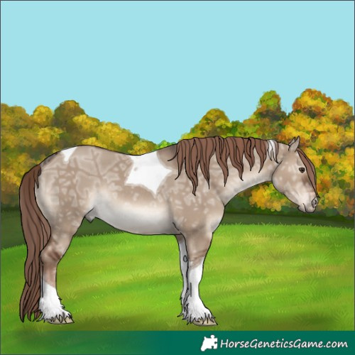 Horse Color:Liver Red Dun Ice Sabino Tobiano Rabicano 
