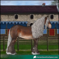 Horse Color:Silver Brown 