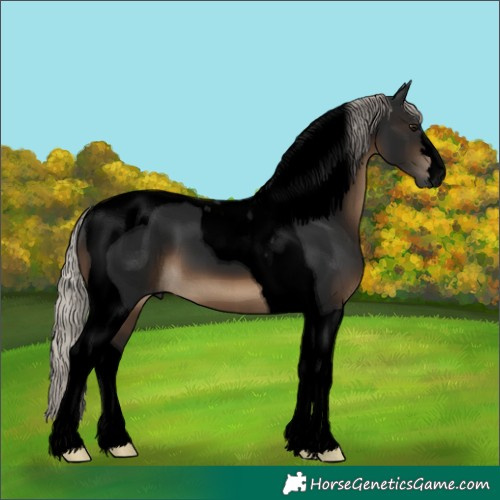Horse Color:Gray Void Silver Brown Tobiano
