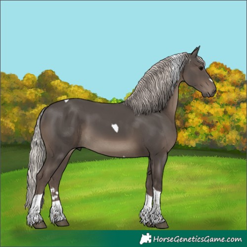 Horse Color:Silver Black Tobiano