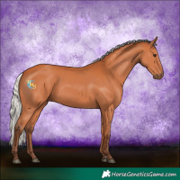 Horse Color:Silver Bay 