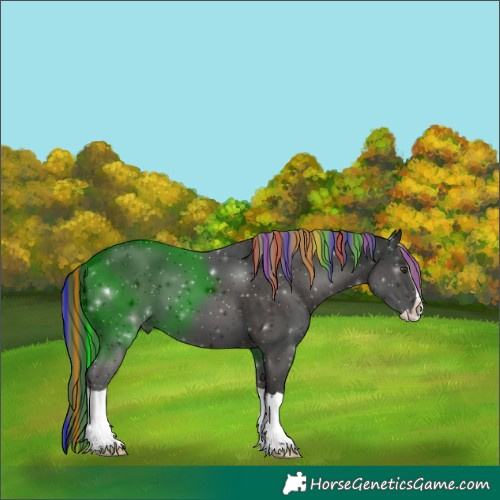 Horse Color:Painted Liver Chestnut Splash 