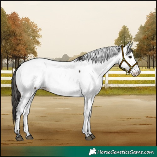 Horse Color:Brown Fewspot 