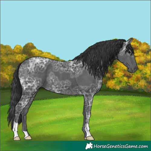 Horse Color:Black Ice