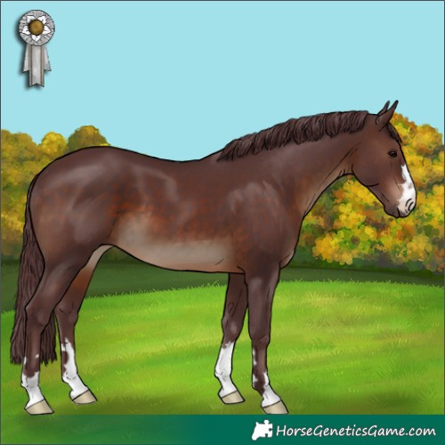 Horse Color:Chocolate Brown