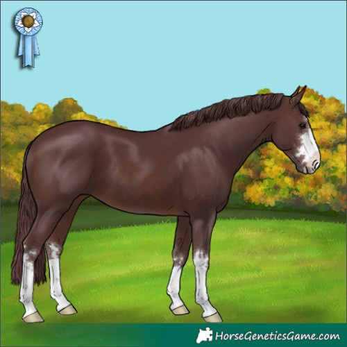 Horse Color:Chocolate Brown 
