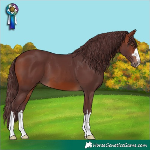Horse Color:Chocolate Brown