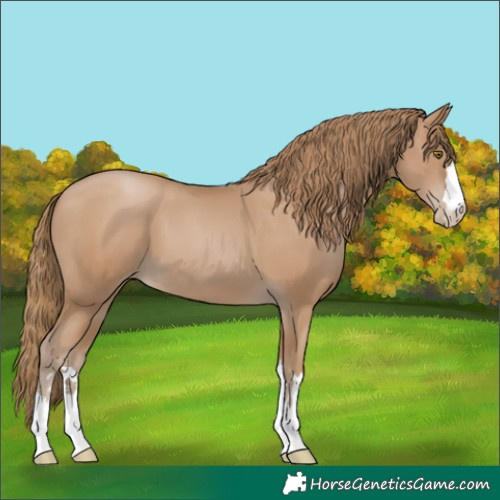 Horse Color:Black Pearl