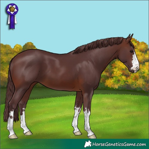 Horse Color:Chocolate Brown 