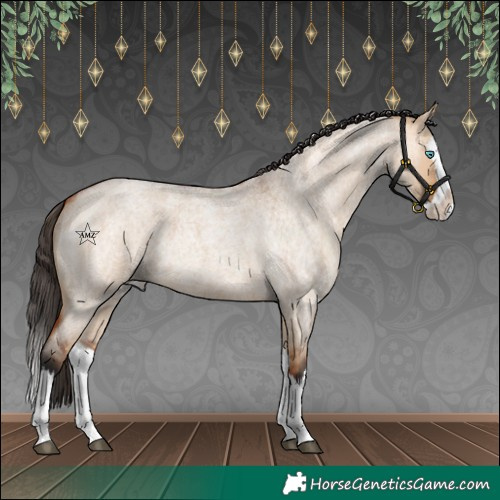 Horse Color:Bay Roan Dun Splash 