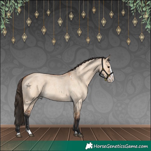 Horse Color:Bay Roan Dun Splash