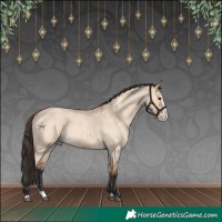 Horse Color:Bay Roan Dun Splash 