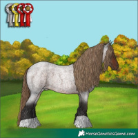 Horse Color:Liver Red Roan
