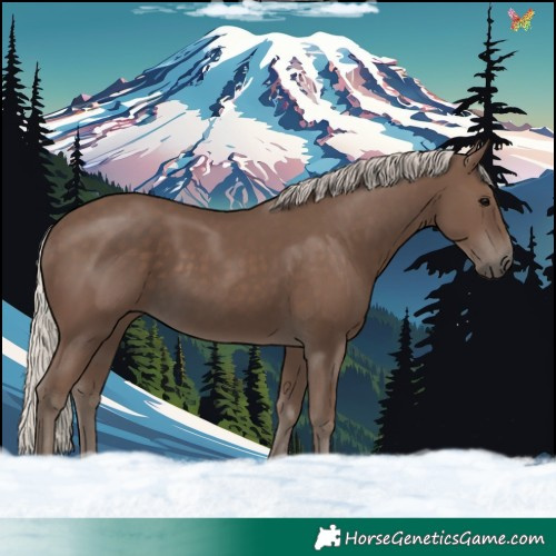 Horse Color:Silver Black 