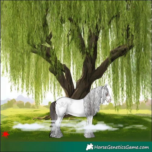 Horse Color:White Spotted Liver Red Roan
