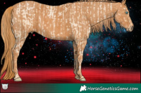 Horse Color:Buckskin Pearl Dun  Brindle