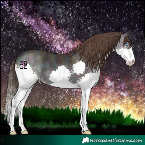 Horse Color:Midnight Amber Champagne Ice Onyx Splash