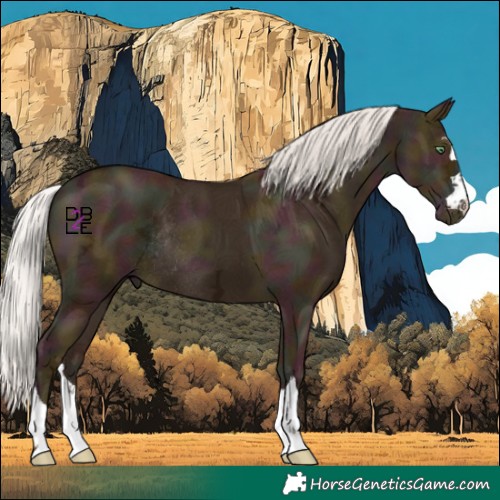 Horse Color:Midnight Silver Amber Champagne Ice Rabicano