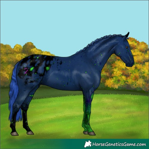 Horse Color:ERROR: UNKNOWN ANOMALY
