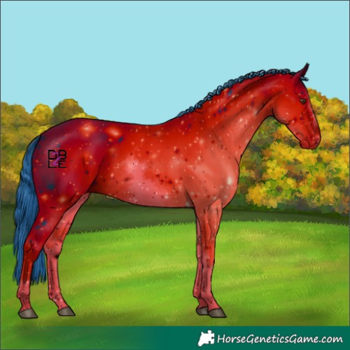 Horse Color:ERROR: UNKNOWN ANOMALY