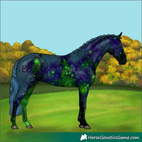 Horse Color:ERROR: UNKNOWN ANOMALY