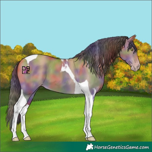 Horse Color:Nacre Sable Champagne Dun Tobiano 