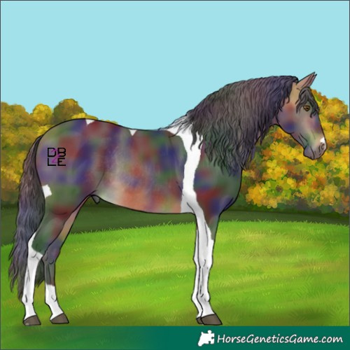 Horse Color:Nacre Buckskin Tobiano Rabicano 