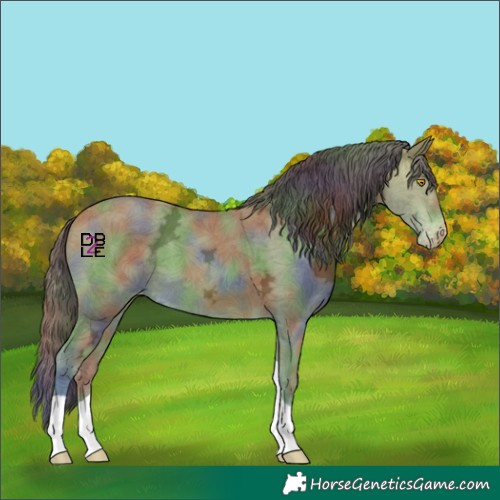 Horse Color:Nacre Sable Champagne Ice Tobiano Appaloosa 