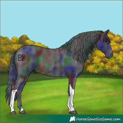 Horse Color:Nacre Black Tobiano 