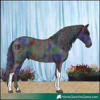 Horse Color:Nacre Black Tobiano