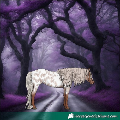 Horse Color:Chocolate Silver Blue Roan Mushroom Appaloosa Rabicano