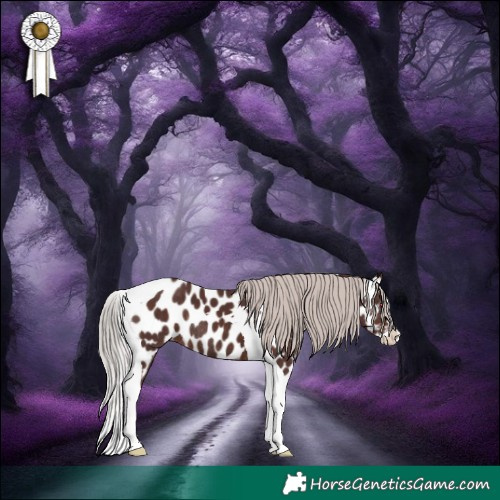 Horse Color:Chocolate Silver Brown Mushroom Splash Tobiano Appaloosa Rabicano